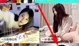 怎样加入91夫妻直播,新手指南与操作步骤